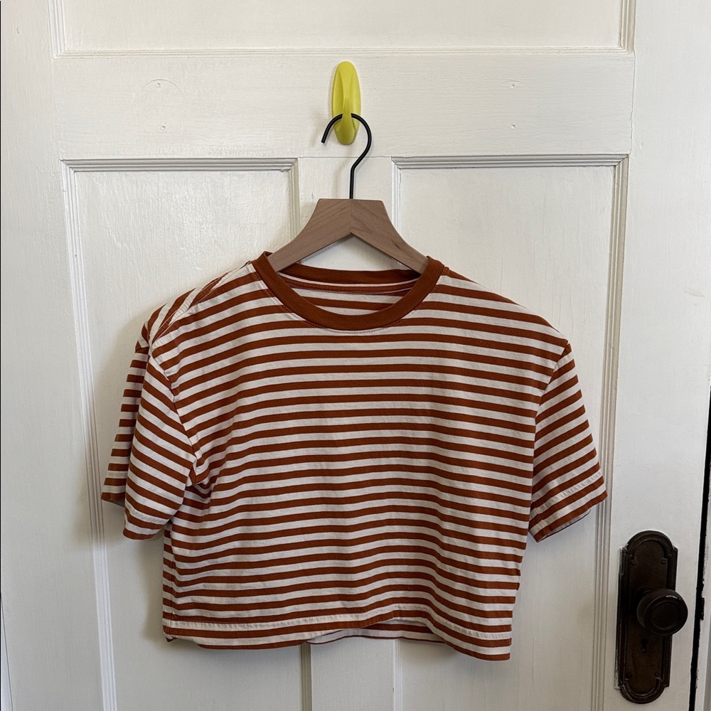 Everlane Brown Orange and White Striped Top